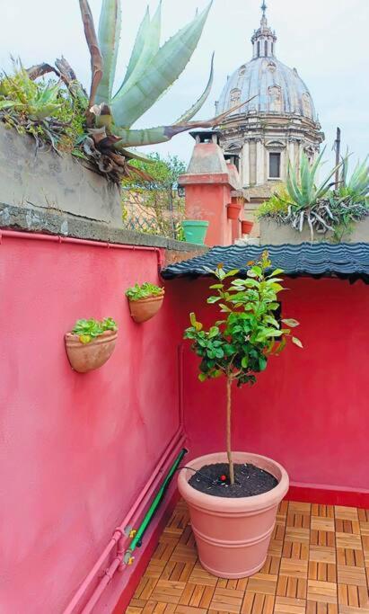 Attico Campo De Fiori Katia Apartamento Roma